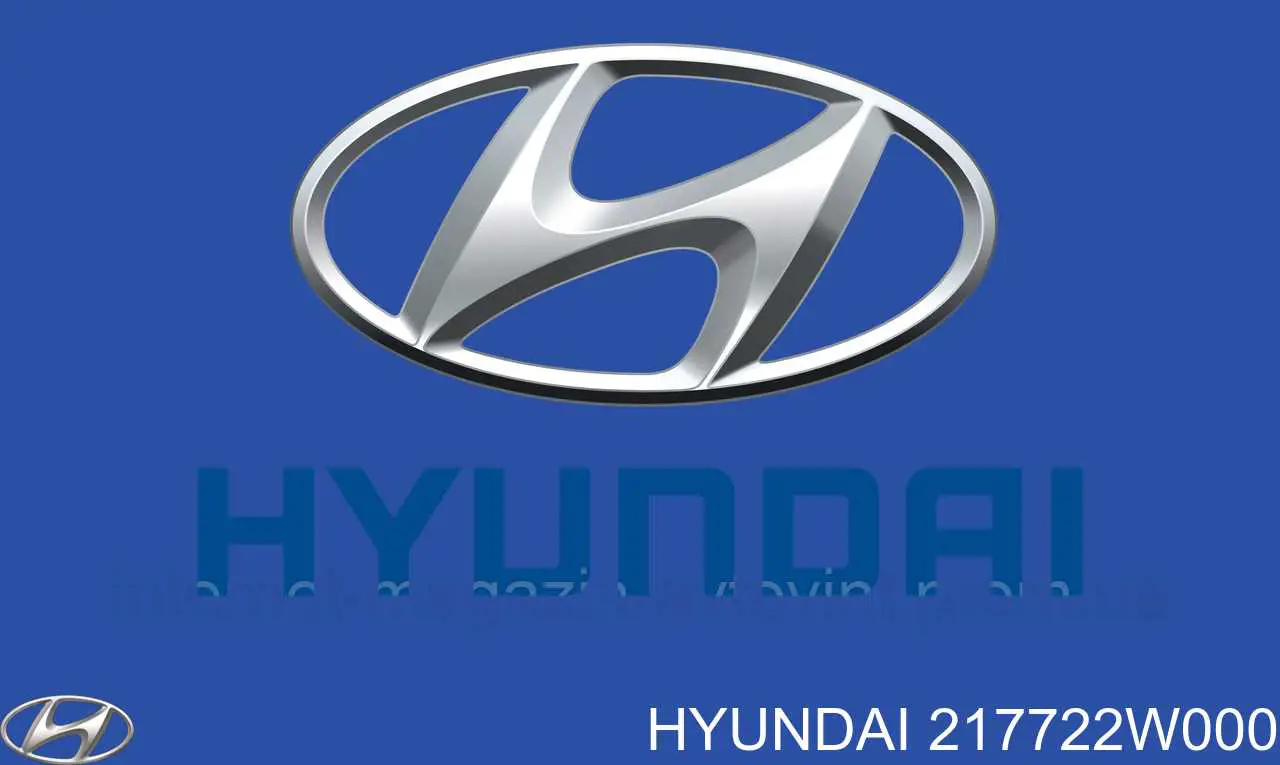 217722W000 Hyundai/Kia Bloco silencioso de viga traseira (de plataforma veicular)