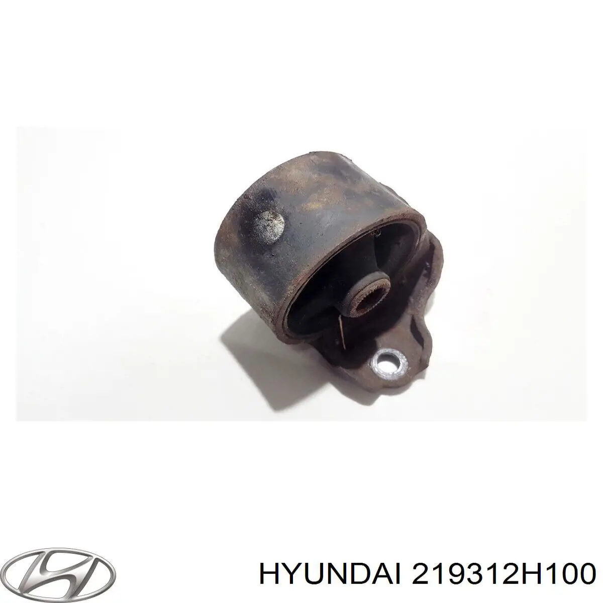 219312H100 Hyundai/Kia 