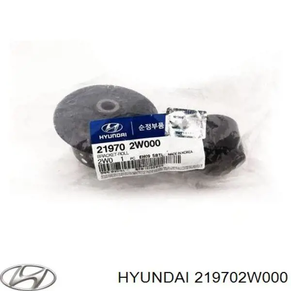 Coxim (suporte) dianteiro de motor para Hyundai Santa Fe III DM