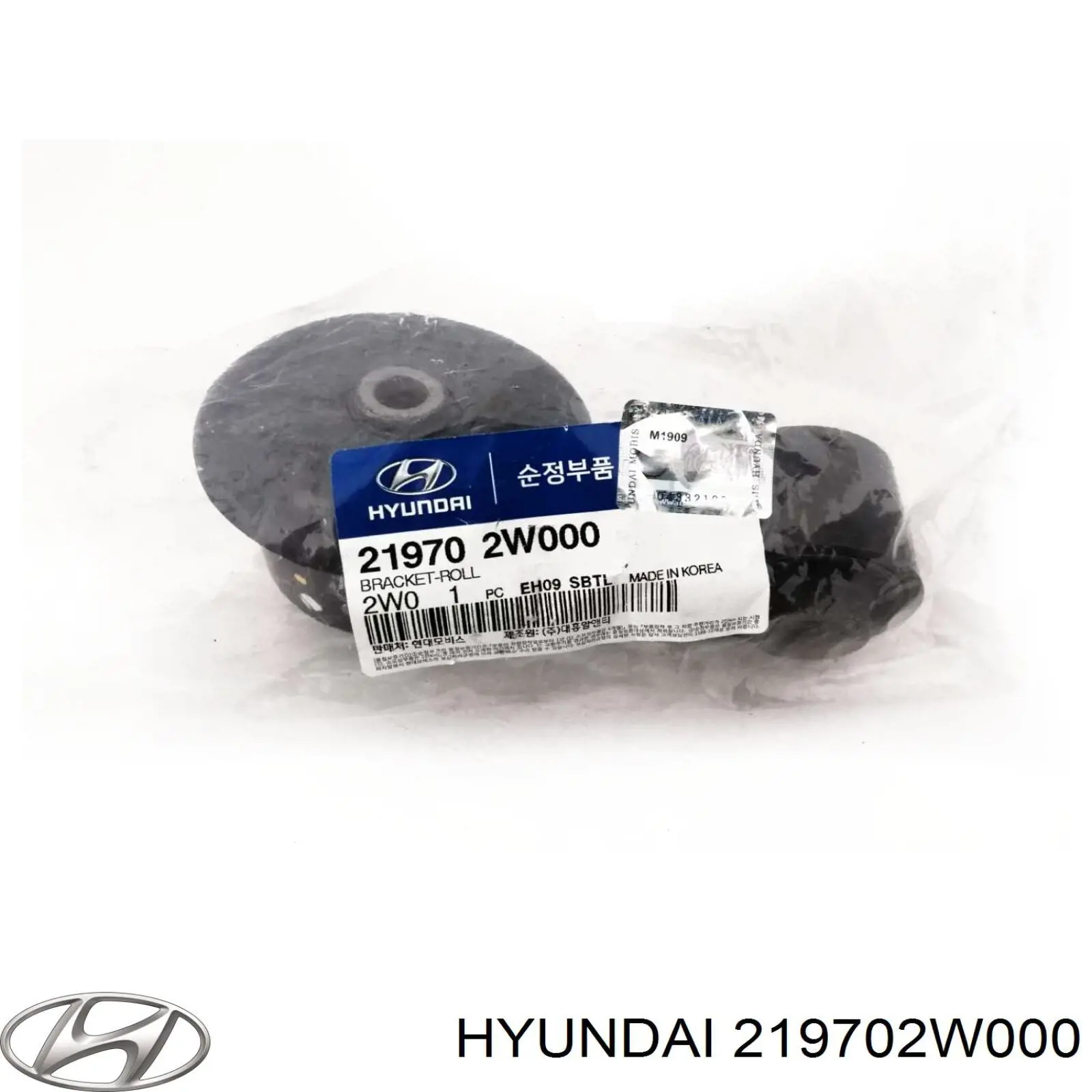Coxim (suporte) dianteiro de motor Hyundai Santa Fe III DM