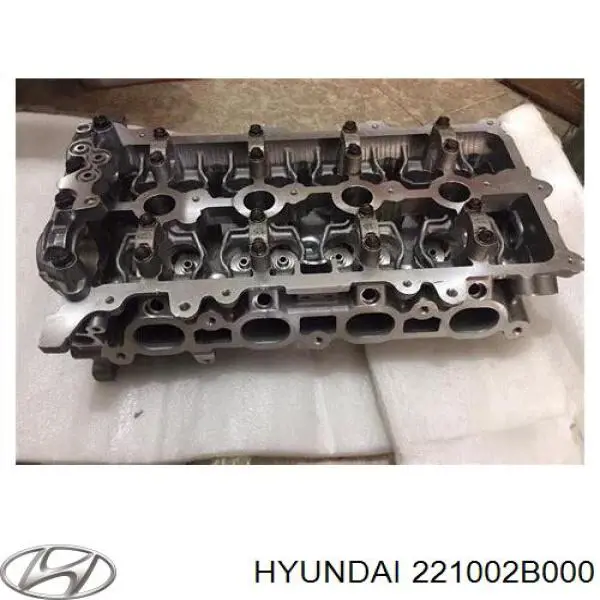221002B000 Hyundai/Kia Cabeça de motor (CBC)