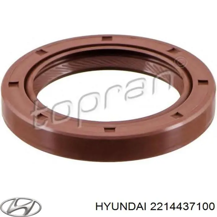 2214437100 Hyundai/Kia Vedação dianteira da árvore distribuidora de motor