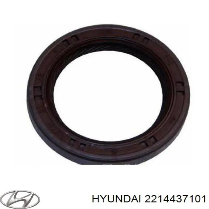 2214437101 Hyundai/Kia Vedação dianteira da árvore distribuidora de motor