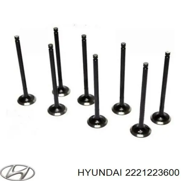 Válvula de escape Hyundai/Kia 2221223600 preço, a partir de 11,88 USD