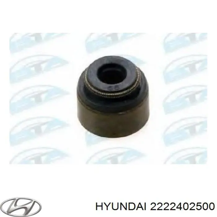 2222402500 Hyundai/Kia Bucim de válvula (coletor de óleo), admissão/escape