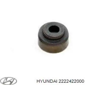 Compre 2222422000 Hyundai/Kia Bucim de válvula (coletor de óleo), admissão/escape
