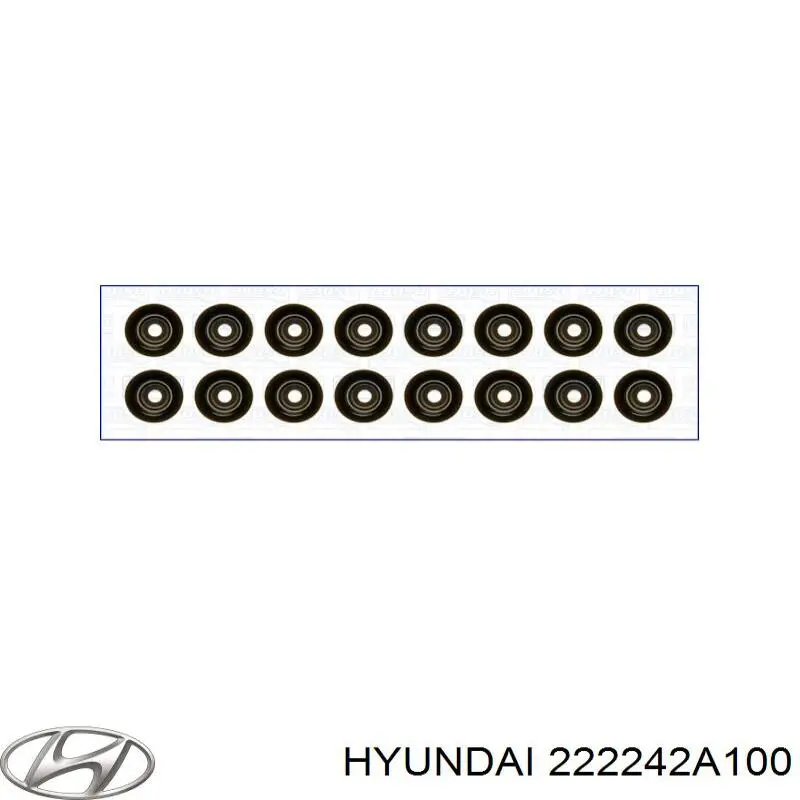 222242A100 Hyundai/Kia Bucim de válvula (coletor de óleo), admissão/escape