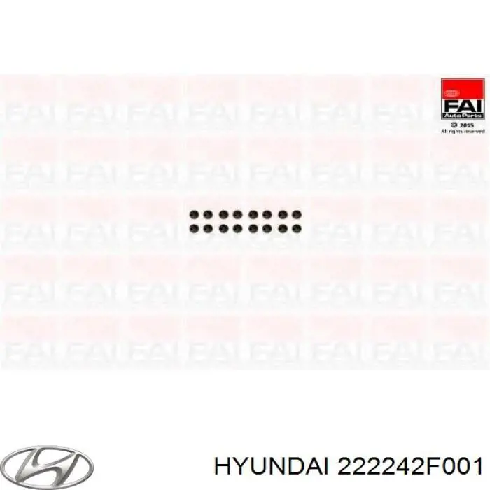 222242F000 Hyundai/Kia Bucim de válvula (coletor de óleo), admissão/escape