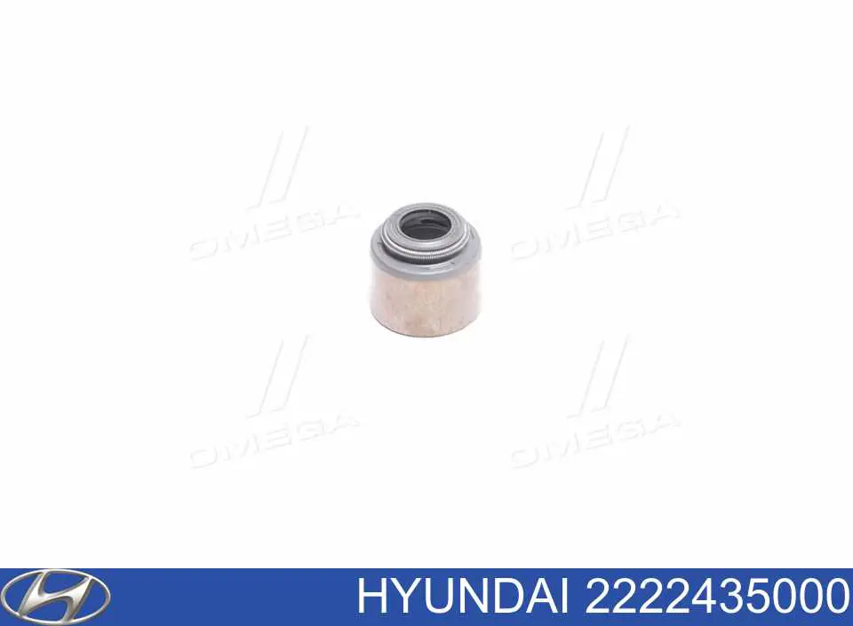 2222435000 Hyundai/Kia Bucim de válvula (coletor de óleo), admissão/escape