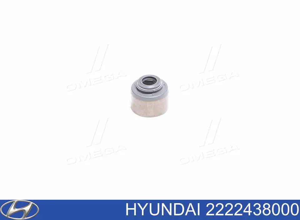 2222438000 Hyundai/Kia Bucim de válvula (coletor de óleo), admissão/escape