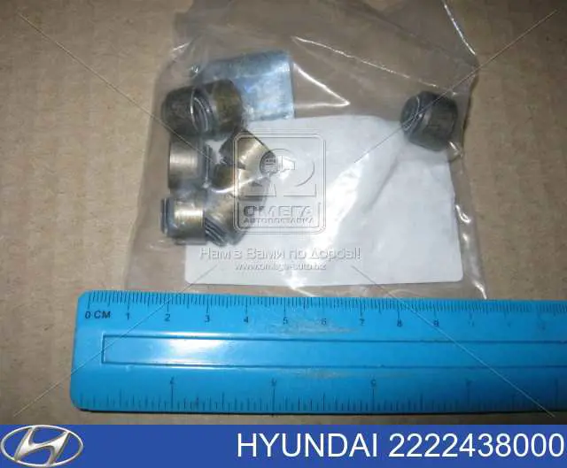 Bucim de válvula (coletor de óleo), admissão/escape Hyundai/Kia 2222438000 preço, a partir de 2,75 USD