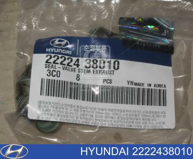 Compre 2222438010 Hyundai/Kia Vedação de válvula (de óleo) de escape