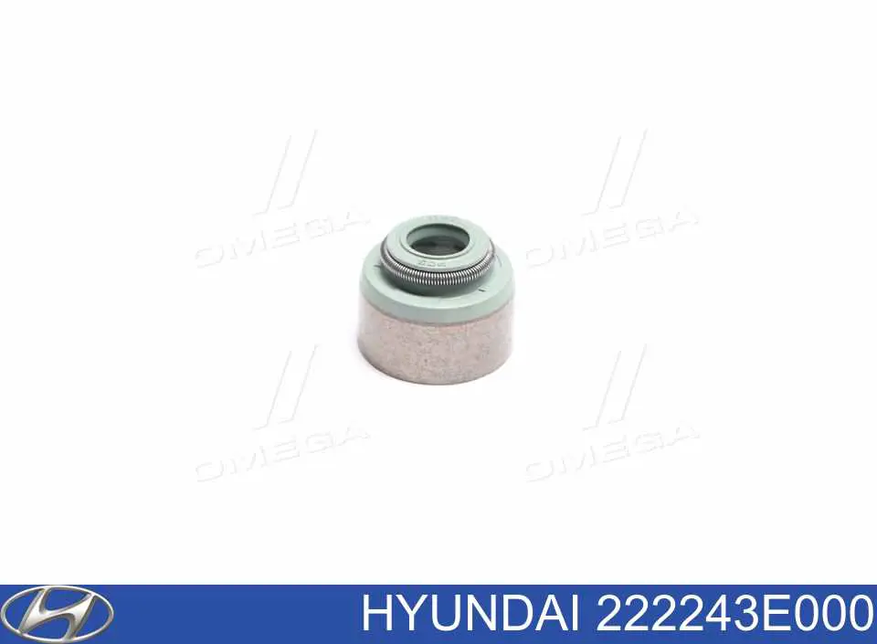 222243E000 Hyundai/Kia Bucim de válvula (coletor de óleo), admissão/escape