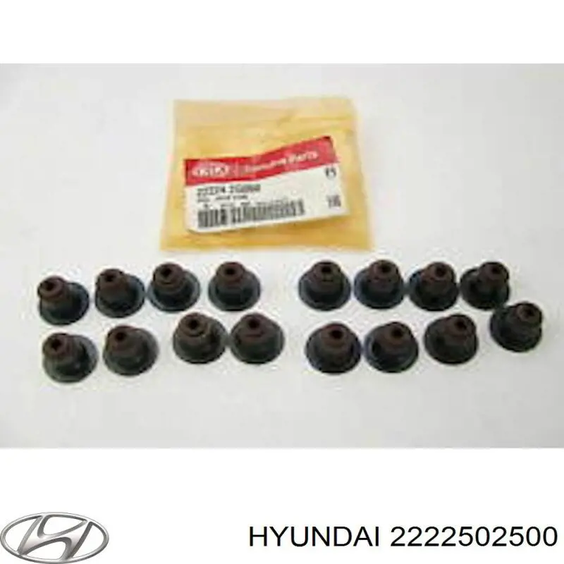 2222502500 Hyundai/Kia 