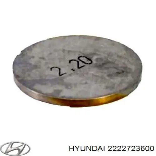 2222723600 Hyundai/Kia Arruela de regulação