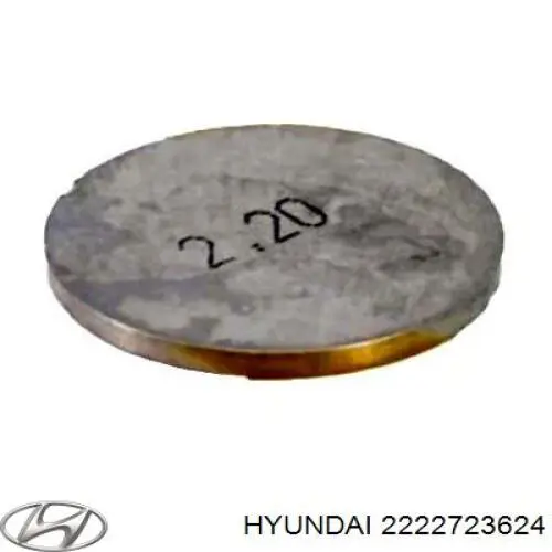 2222723624 Hyundai/Kia Arruela de regulação