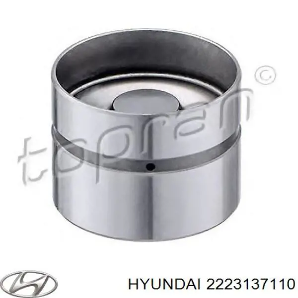 Compre 2223137110 Hyundai/Kia Compensador hidrâulico (empurrador hidrâulico), empurrador de válvulas
