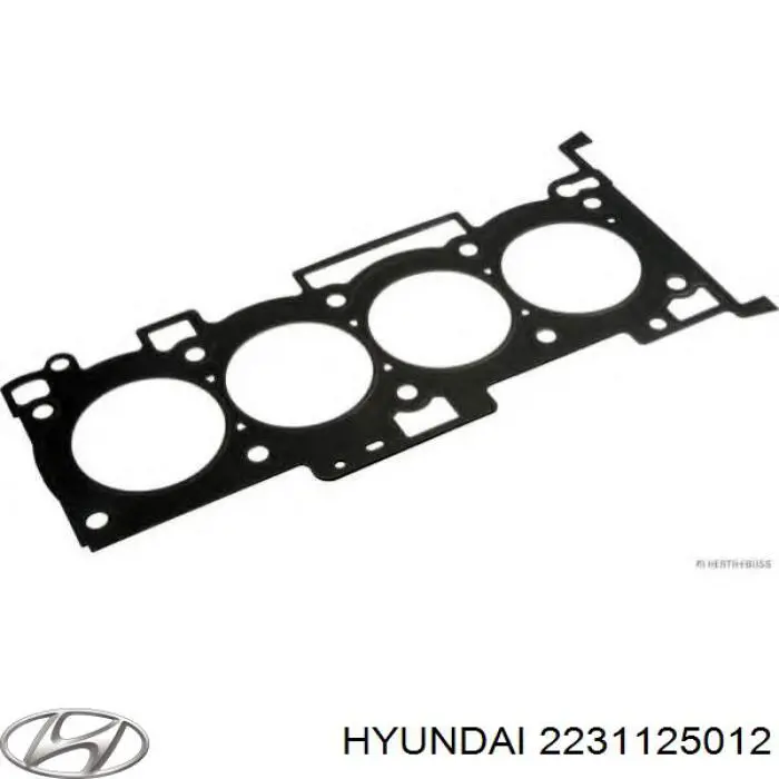 2231125012 Hyundai/Kia Vedante de cabeça de motor (CBC)