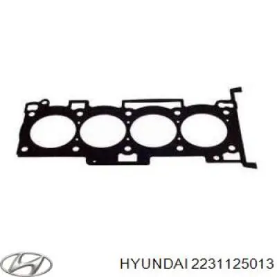 2231125013 Hyundai/Kia Vedante de cabeça de motor (CBC)