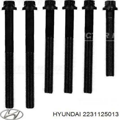 Compre 2231125013 Hyundai/Kia Vedante de cabeça de motor (CBC)