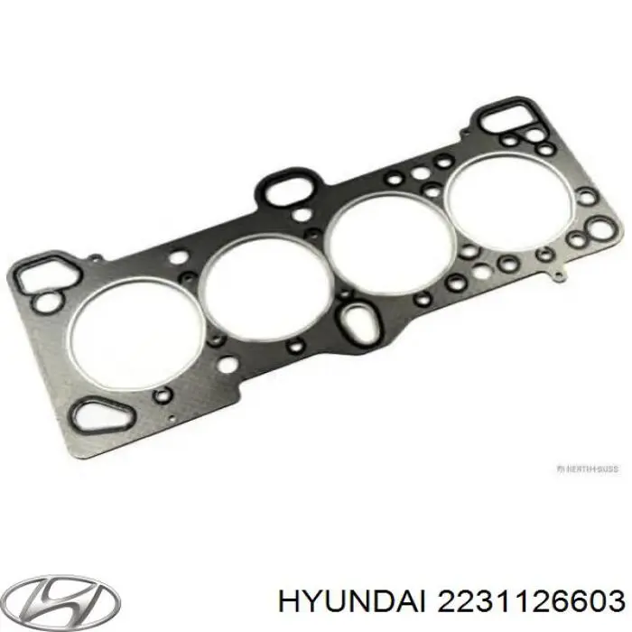 2231126603 Hyundai/Kia Vedante de cabeça de motor (CBC)