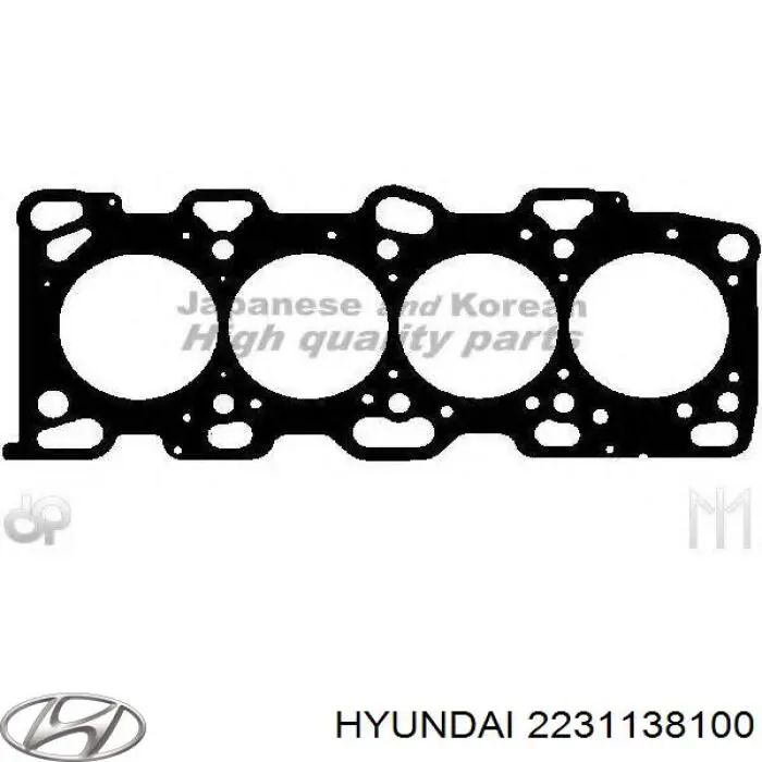 Compre 2231138100 Hyundai/Kia Vedante de cabeça de motor (CBC)