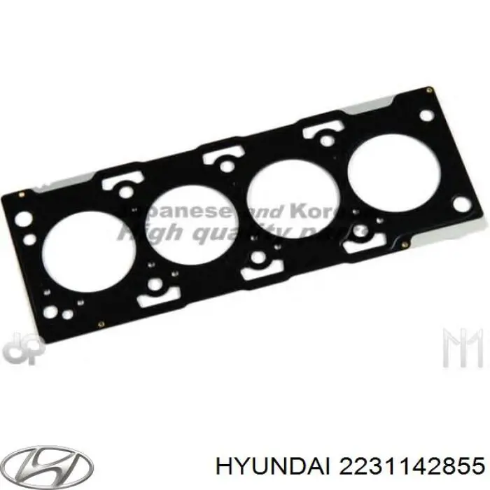 2231142855 Hyundai/Kia Vedante de cabeça de motor (CBC)