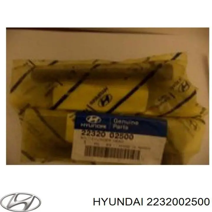 2232002500 Hyundai/Kia Parafuso de cabeça de motor (CBC)