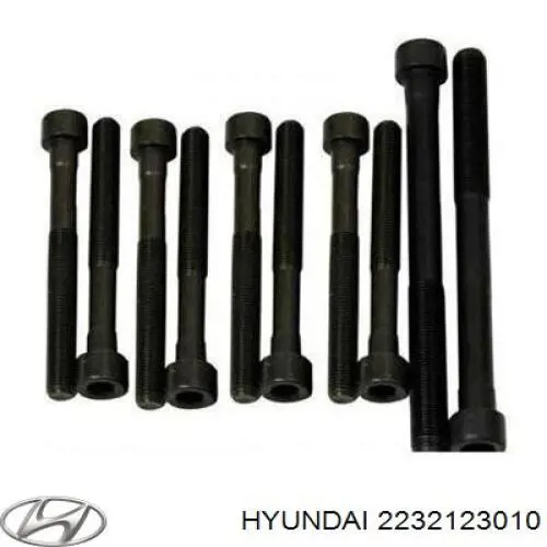 2232123010 Hyundai/Kia Parafuso de cabeça de motor (CBC)