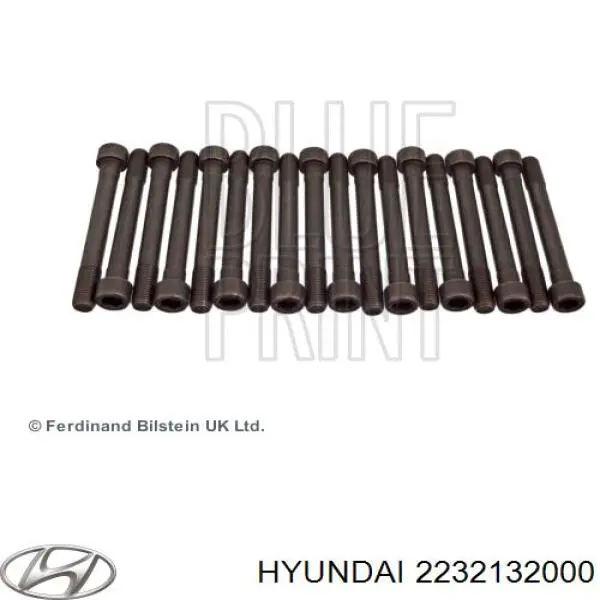 2232132000 Hyundai/Kia Parafuso de cabeça de motor (CBC)
