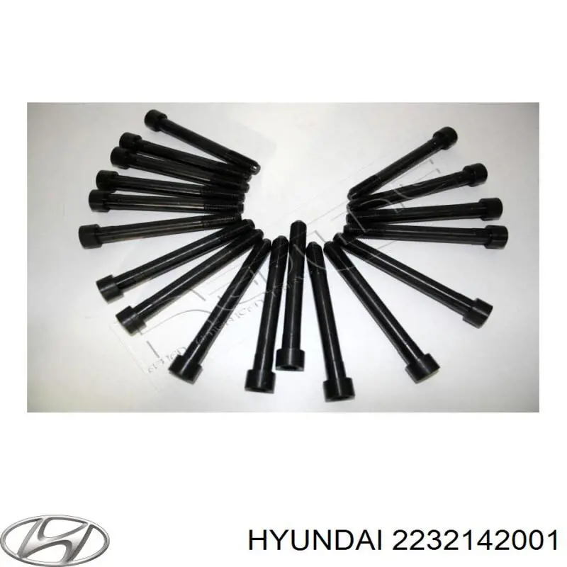 2232142001 Hyundai/Kia Parafuso de cabeça de motor (CBC)