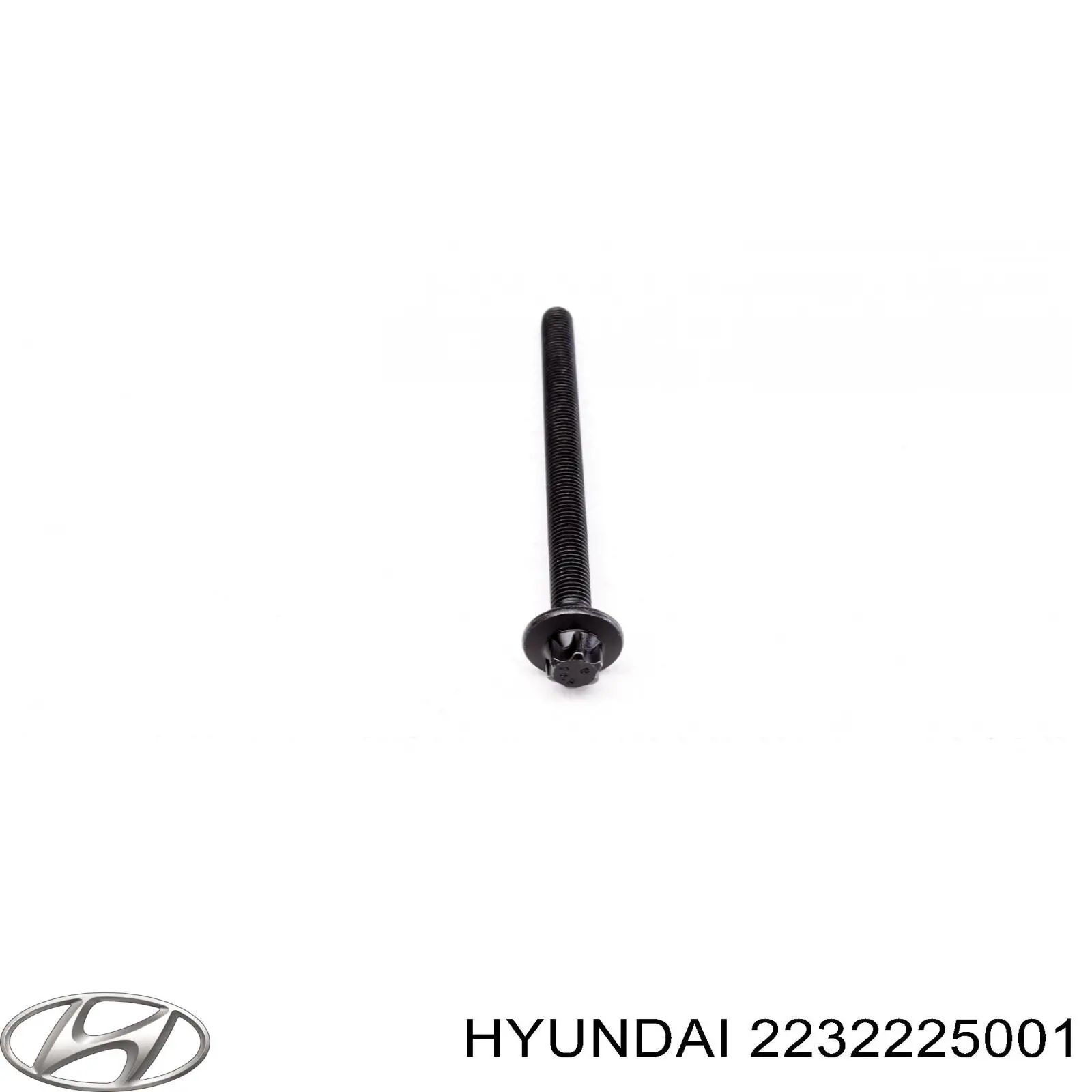 2232225001 Hyundai/Kia 