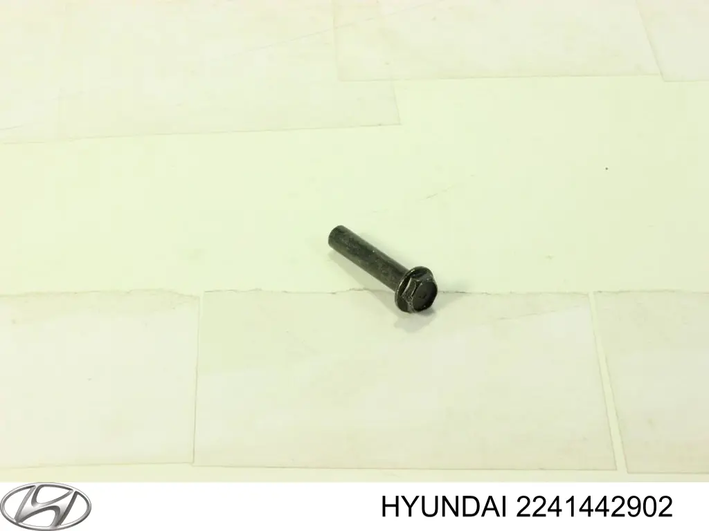 2241442902 Hyundai/Kia Tampa de válvulas