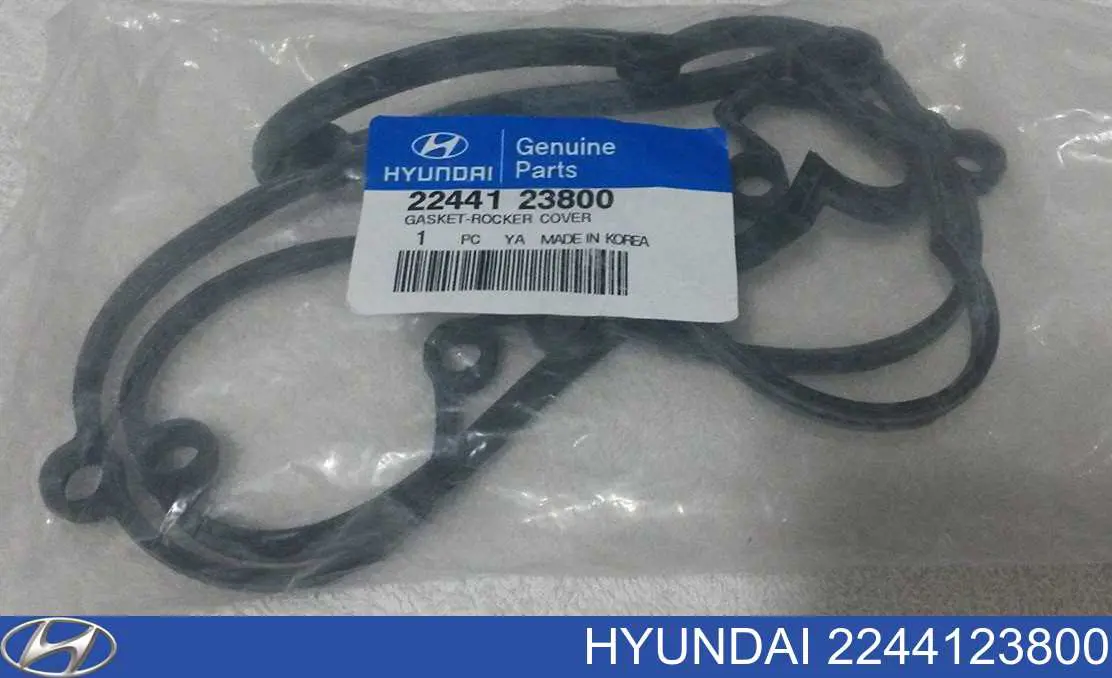 2244123800 Hyundai/Kia Vedante de tampa de válvulas de motor