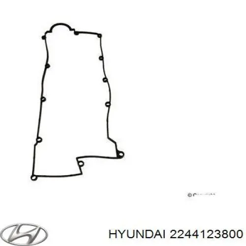Vedante de tampa de válvulas de motor Hyundai/Kia 2244123800 preço, a partir de 18,52 USD