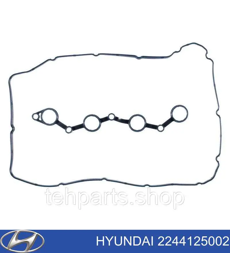 Vedante da tampa de válvulas de motor, kit Hyundai/Kia 2244125002 preço, a partir de 10,57 USD