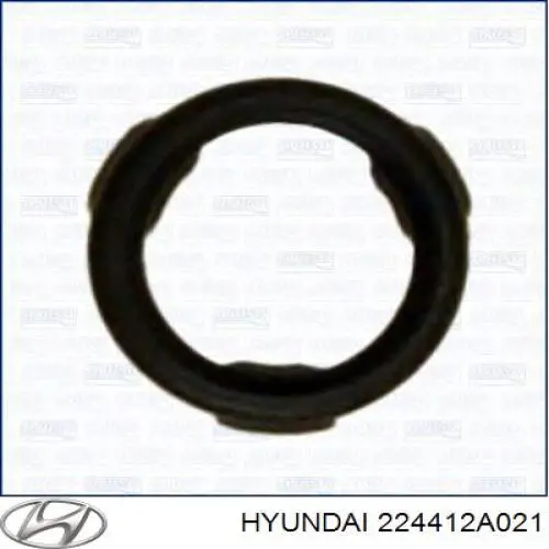 224412A021 Hyundai/Kia Vedante da tampa de válvulas de motor, anel