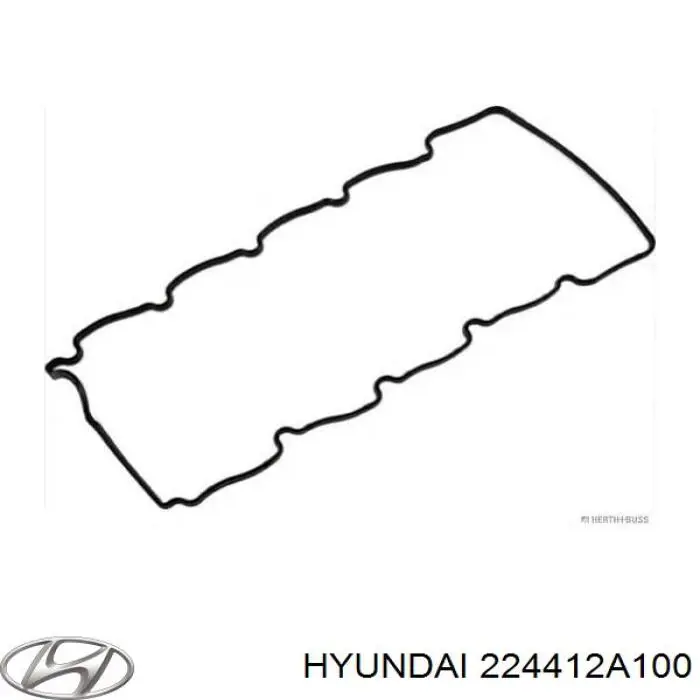 224412A100 Hyundai/Kia Vedante de tampa de válvulas de motor