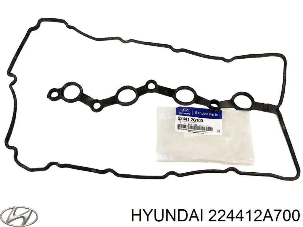 224412A700 Hyundai/Kia Vedante de tampa de válvulas de motor