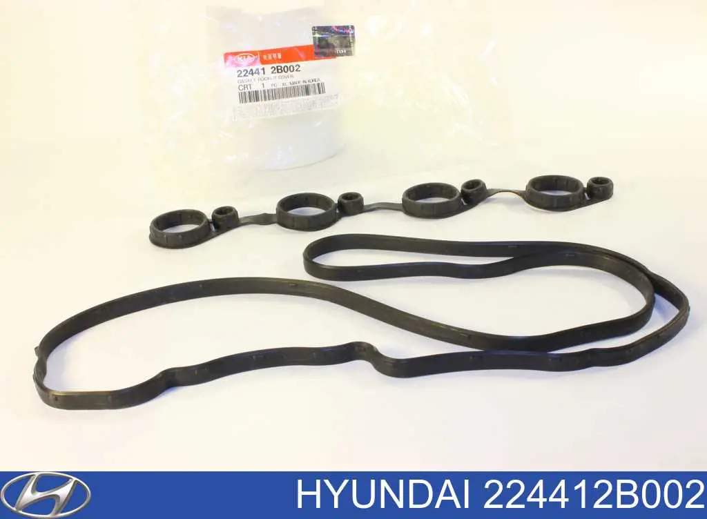 Vedante da tampa de válvulas de motor, kit Hyundai/Kia 224412B002 preço, a partir de 15,65 USD