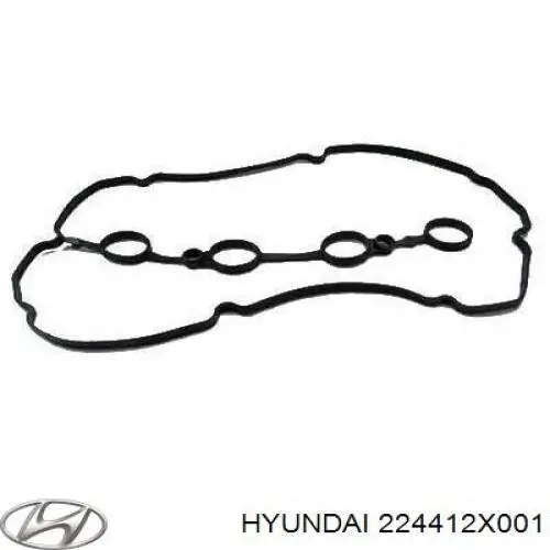 Compre 224412X001 Hyundai/Kia Vedante de tampa de válvulas de motor