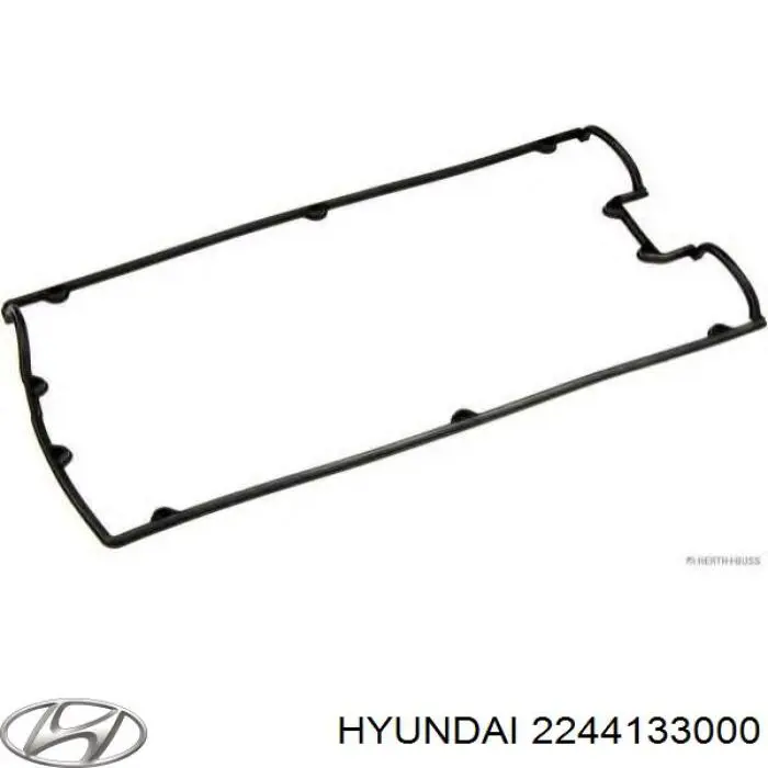 Vedante de tampa de válvulas de motor 2244133000 Hyundai/Kia