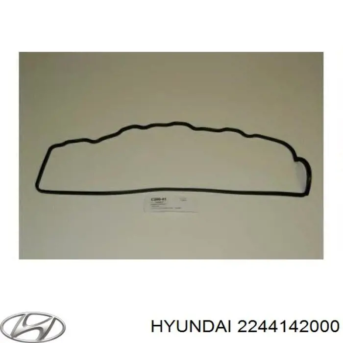 2244142000 Hyundai/Kia Vedante de tampa de válvulas de motor