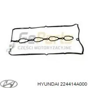 224414A000 Hyundai/Kia Vedante de tampa de válvulas de motor