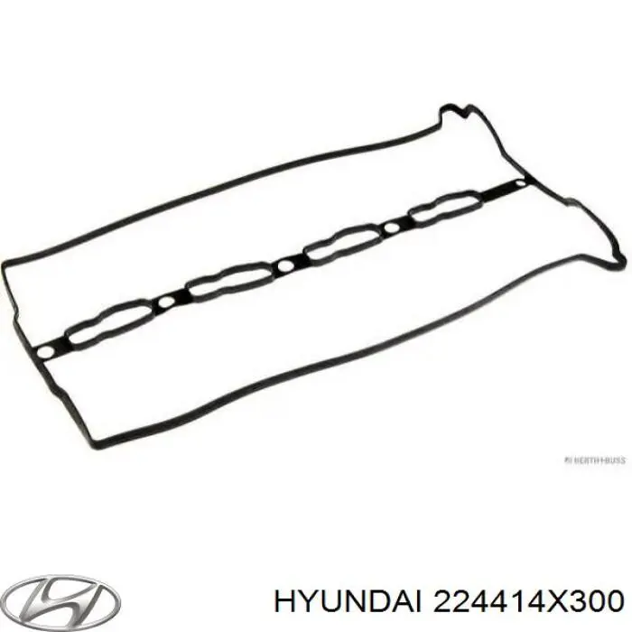 Vedante de tampa de válvulas de motor Hyundai/Kia 224414X300 preço, a partir de 14,09 USD