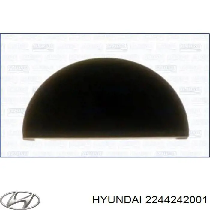 2244242001 Hyundai/Kia Vedante da tampa de válvulas de motor, segmento traseiro