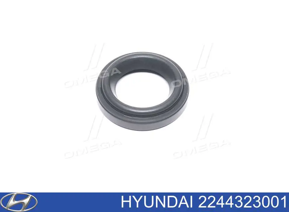 Vedante anular da cavidade de vela Hyundai/Kia 2244323001 preço, a partir de 5,59 USD
