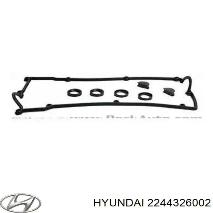 2244326002 Hyundai/Kia Vedante anular da cavidade de vela