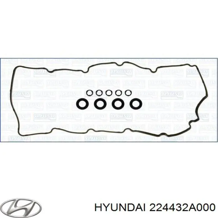 224432A000 Hyundai/Kia Vedante anular da cavidade de vela