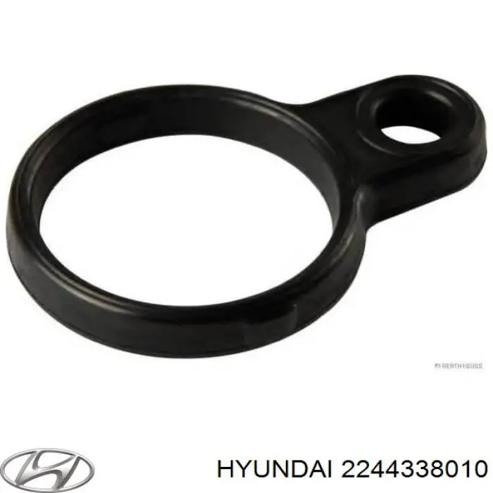2244338010 Hyundai/Kia Vedante anular da cavidade de vela